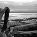 Garry Moody Photo 5
