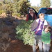 Carol Heath Photo 8