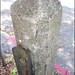 Susan Berryman Photo 16