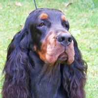 Suzanne Montgomery Photo 25