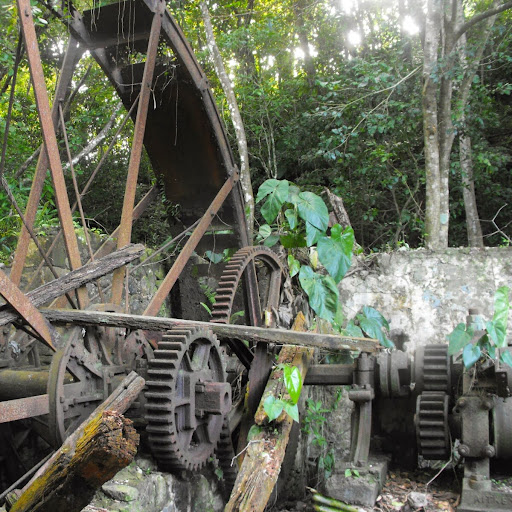 Kenny Alexander Photo 46