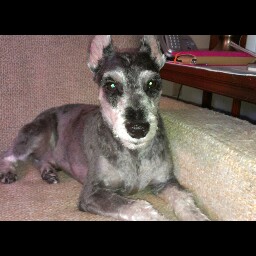 Cathy Mills Photo 14