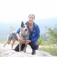 Carol Werner Photo 16