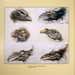 Crystal Henson Photo 14