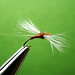 Rusty Trout Photo 13
