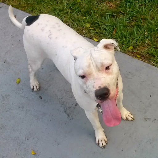 Richard Charles Photo 37