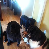 Jeanette Miller Photo 17 Jeanette Miller Photo 17