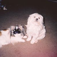 Anita Parish Photo 11