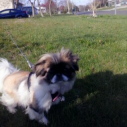 April Wilkinson Photo 29