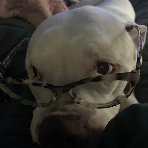 Kristin Seale Photo 4