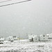Anthony Snow Photo 45