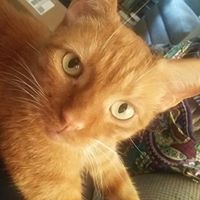 Paula Ridenour Photo 7