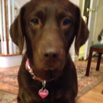 Christine Corbin Photo 18