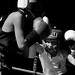 Steven Squires Photo 32