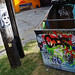 Lee Ellis Photo 47
