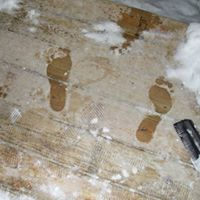 Alice Spence Photo 7