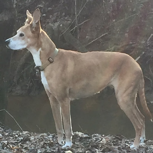 Michael Finn Photo 52 Michael Finn Photo 52