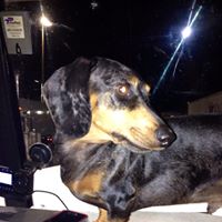 Debbie Pitts Photo 36