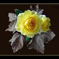 Kathleen Lockwood Photo 10