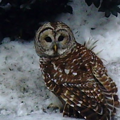 Dean Jensen Photo 33