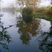 Gregg Sharp Photo 8