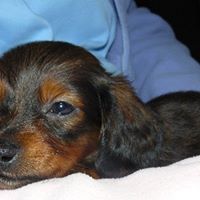 Sallie Johnson Photo 15