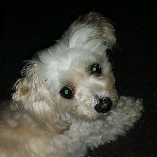 Tracey Newland Photo 3