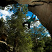 Daniel Mackey Photo 38