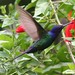 Sheri Bird Photo 17