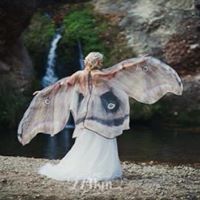 Christine Greaves Photo 26