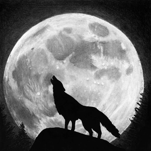 James Duran Photo 45 James Duran Photo 45