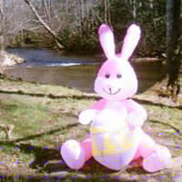 Anita White Photo 28