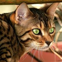 Vicki Jennings Photo 10