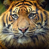 Janette Martin Photo 21