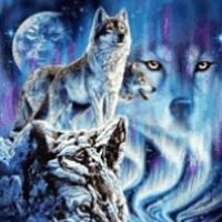 Scott Witmer Photo 19