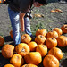 Stacey Patch Photo 7