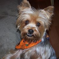 Margaret Dunlap Photo 6