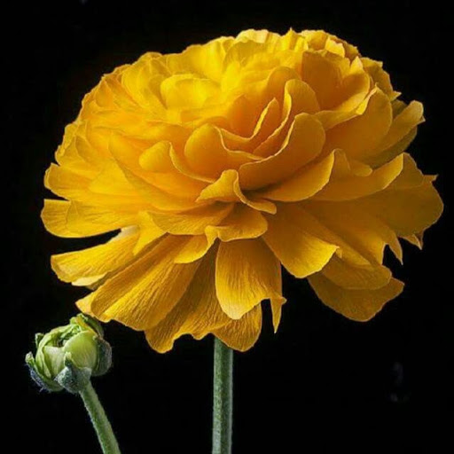 Victoria Watts Photo 36