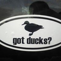 Josh Duckworth Photo 36