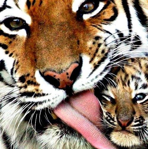 Paul Madison Photo 21