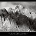 Mitchell West Photo 10