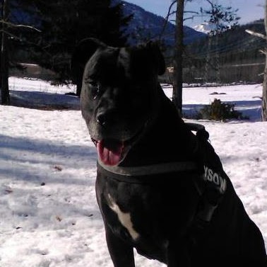 Stefanie Springer Photo 1