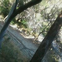 Veronica Chairez Photo 9