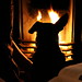 Annette Woody Photo 7