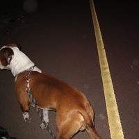 Kathleen Kelso Photo 9