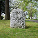 Martha Webster Photo 31