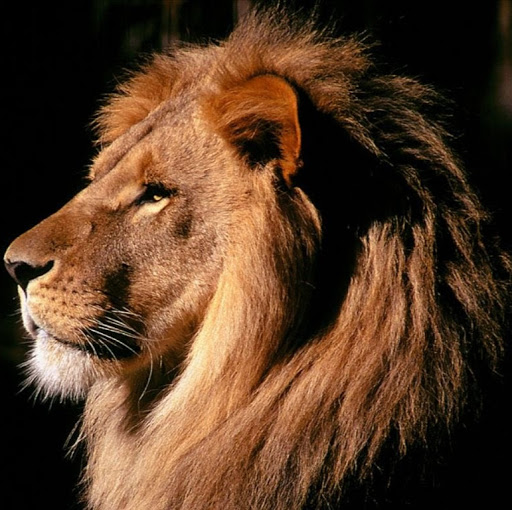 Annette Gil Photo 12