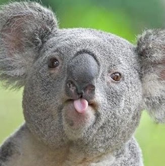 Teresa Davidson Photo 28