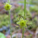 Flora Bishop Photo 9