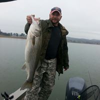 Steven Faulkner Photo 12